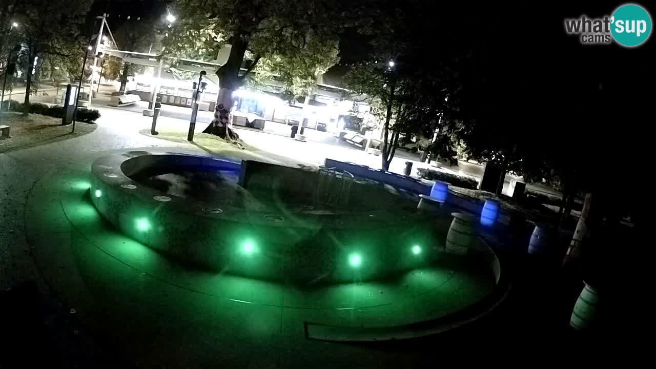 Fontaine à bière LIVE webcam – Or vert – Žalec
