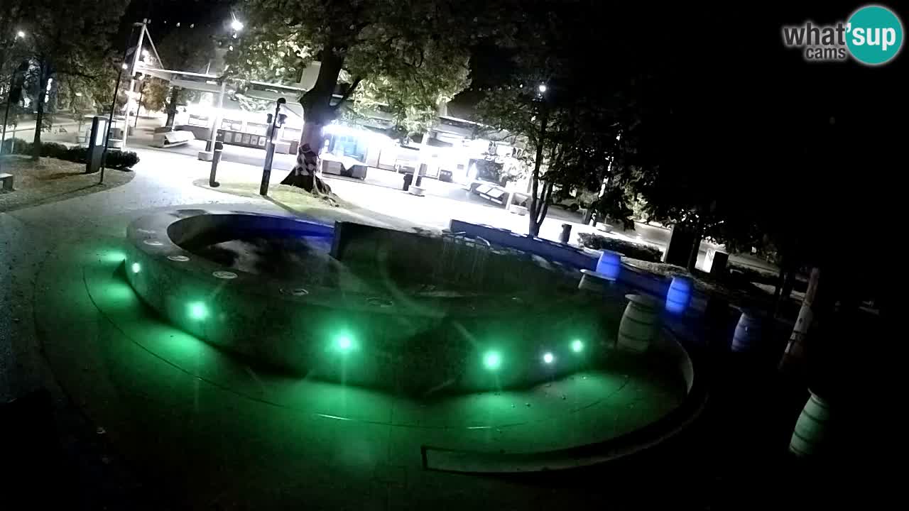 Bier-Springbrunnen Webcam Žalec – Grünen Goldes