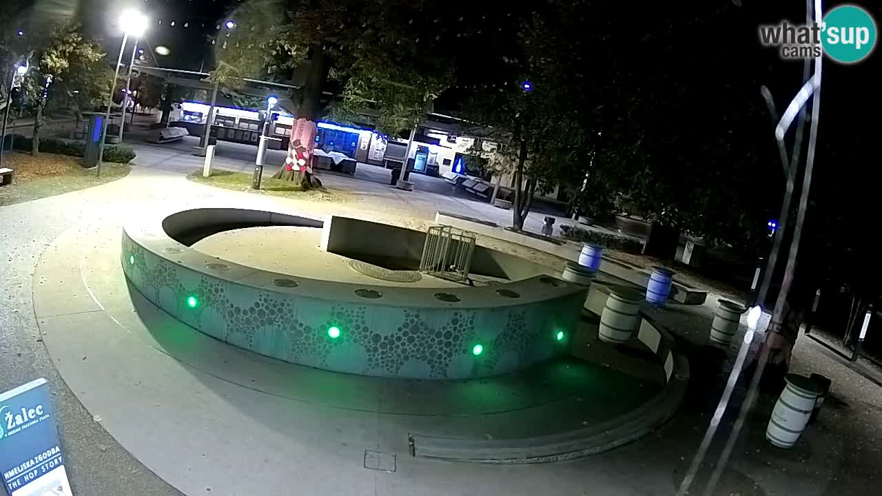 Camera en vivo Fuente de cerveza – Oro verde – Žalec