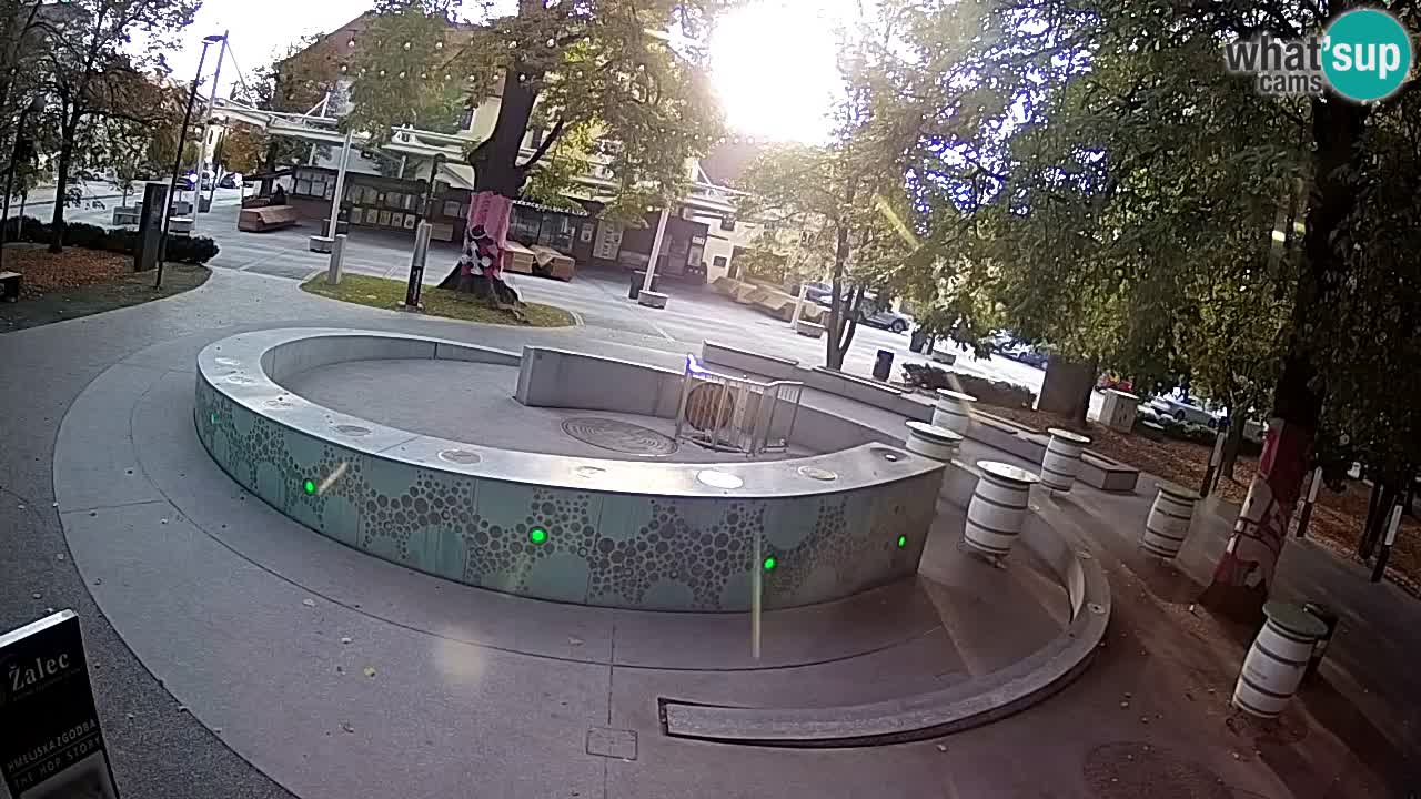 Bier-Springbrunnen Webcam Žalec – Grünen Goldes