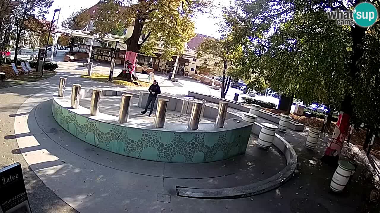 Camera en vivo Fuente de cerveza – Oro verde – Žalec