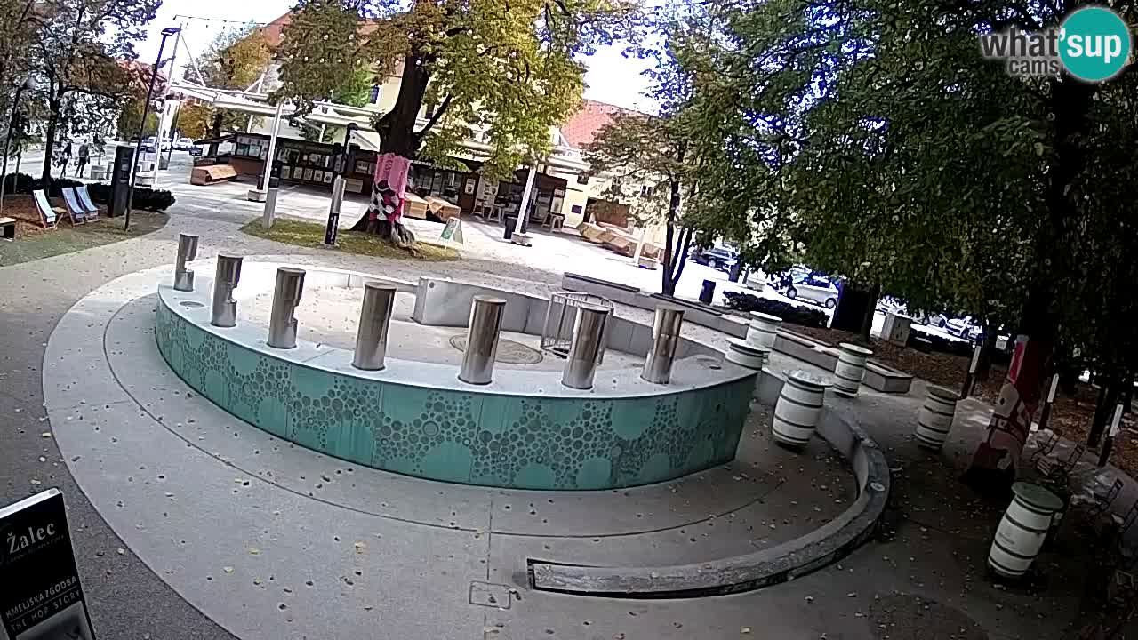 Bier-Springbrunnen Webcam Žalec – Grünen Goldes