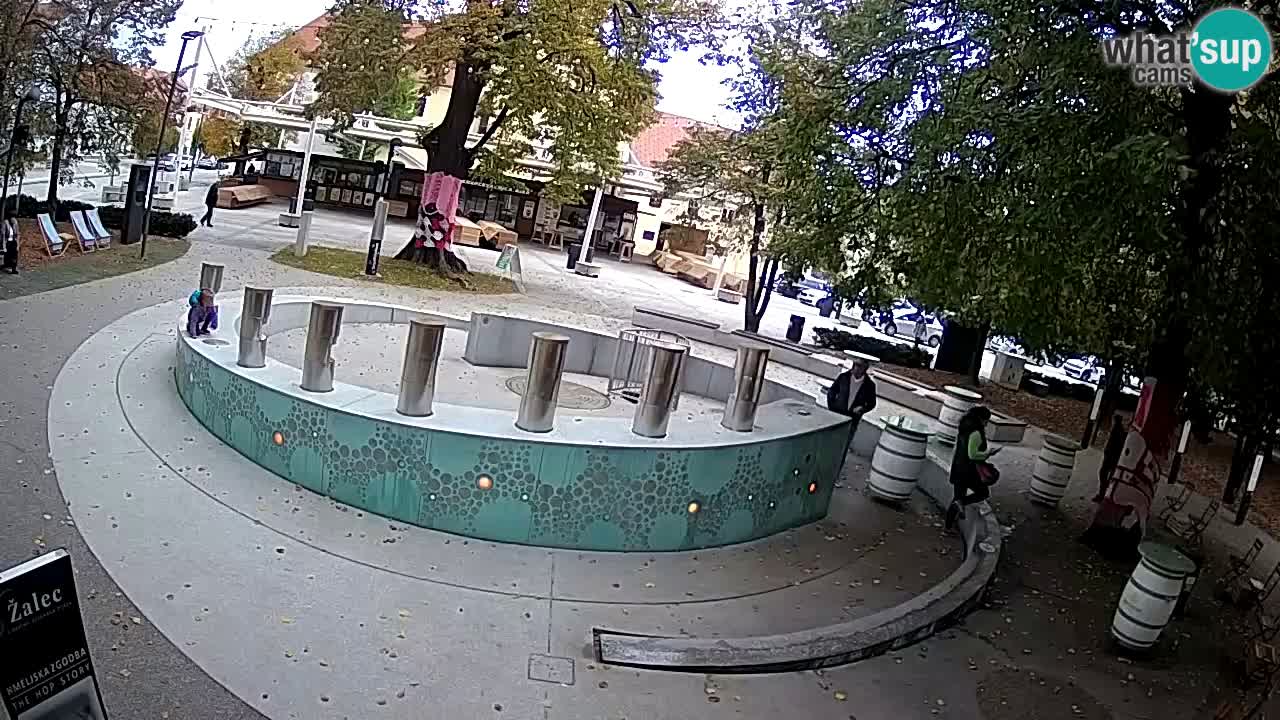 Fontana di birra Webcam – Oro verde – Žalec