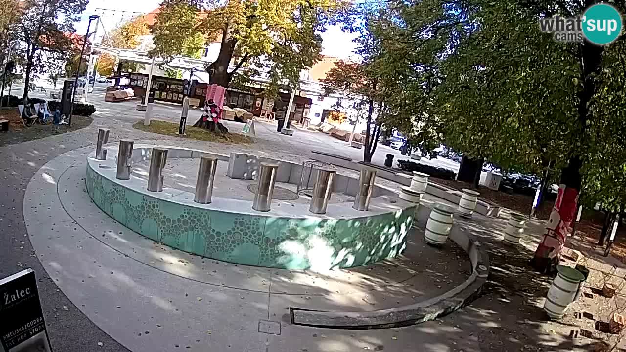 Camera en vivo Fuente de cerveza – Oro verde – Žalec