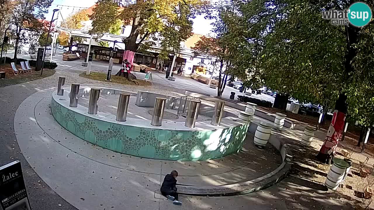 Fontana di birra Webcam – Oro verde – Žalec