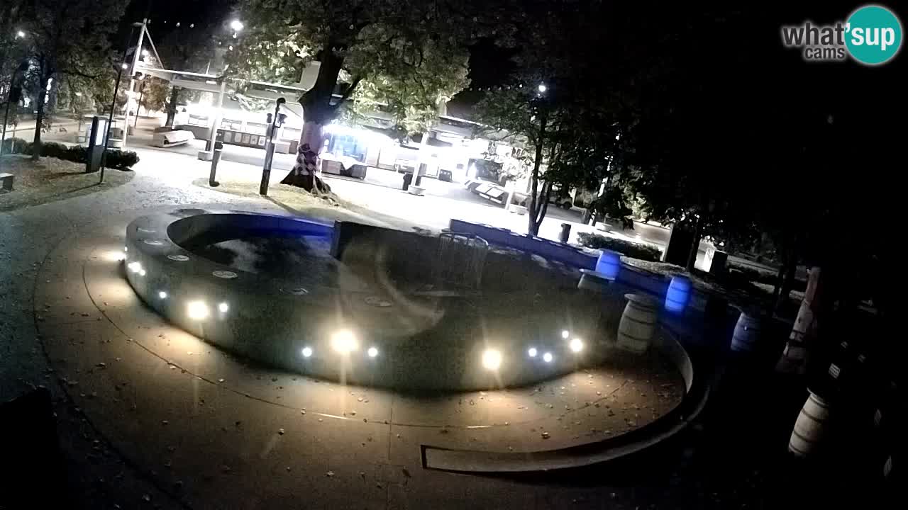 Fontana di birra Webcam – Oro verde – Žalec