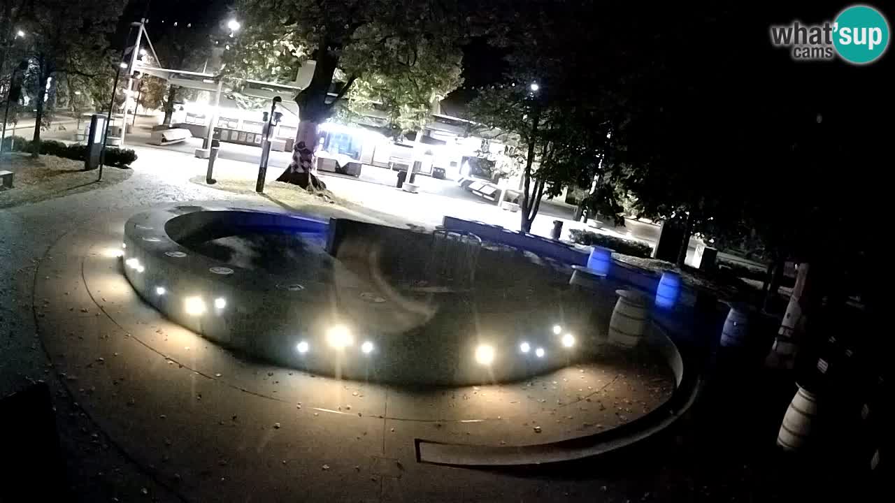 Fontana di birra Webcam – Oro verde – Žalec