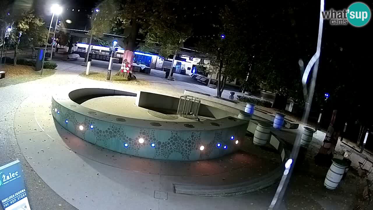 Fontana di birra Webcam – Oro verde – Žalec