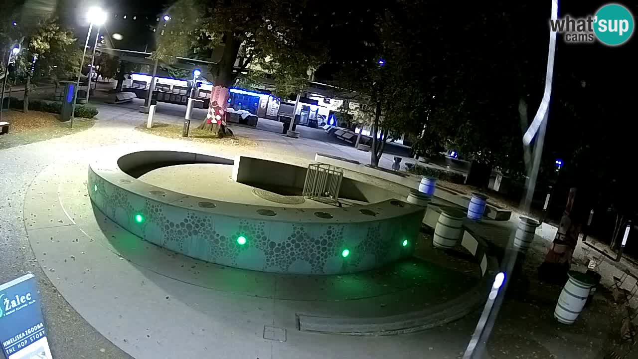 Fontana di birra Webcam – Oro verde – Žalec
