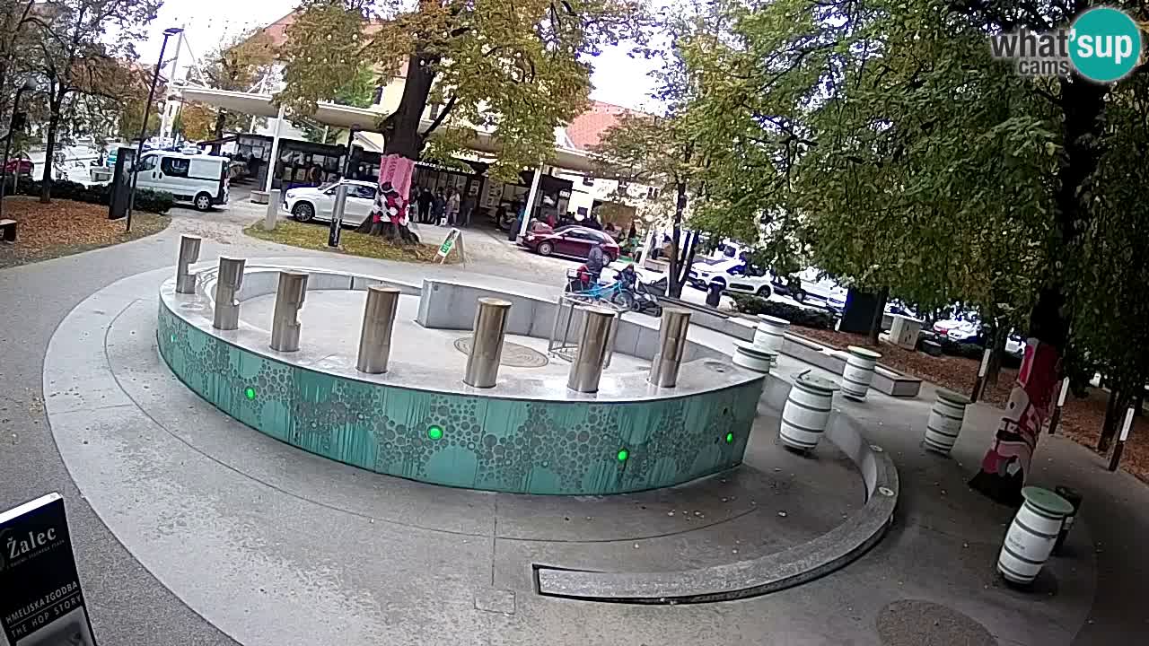 Fontaine à bière LIVE webcam – Or vert – Žalec