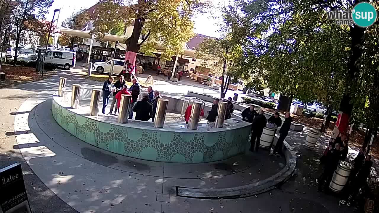 Camera en vivo Fuente de cerveza – Oro verde – Žalec