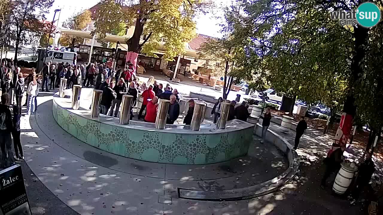 Fontaine à bière LIVE webcam – Or vert – Žalec