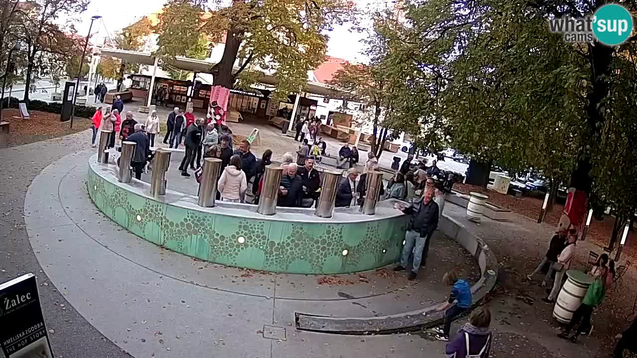 Fontana di birra Webcam – Oro verde – Žalec
