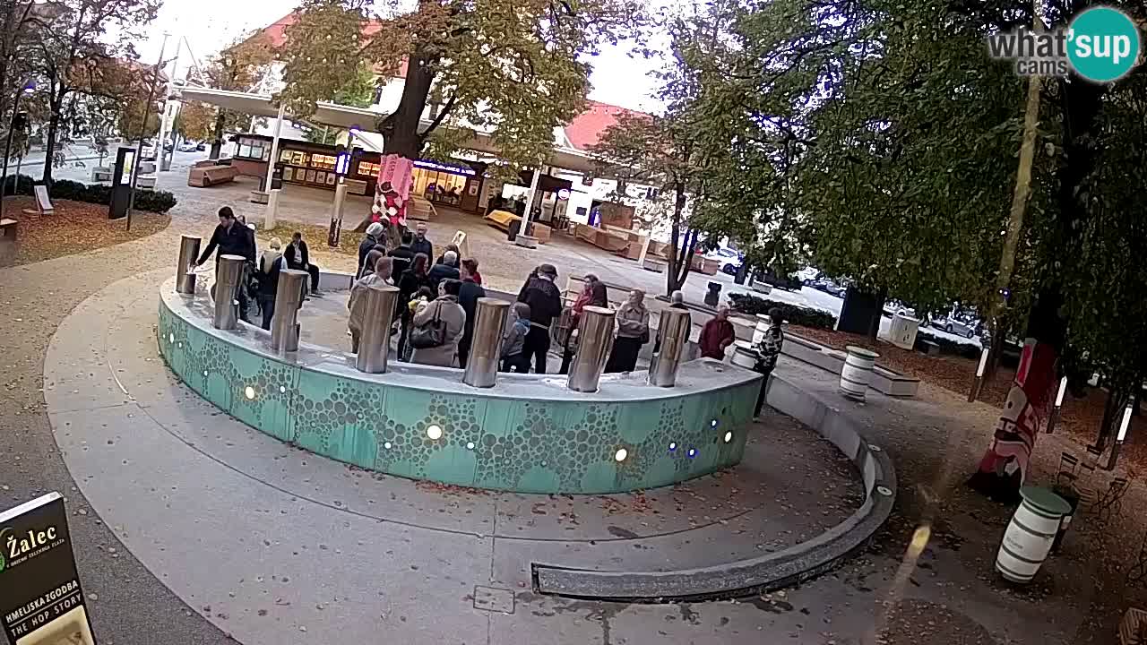 Fontaine à bière LIVE webcam – Or vert – Žalec