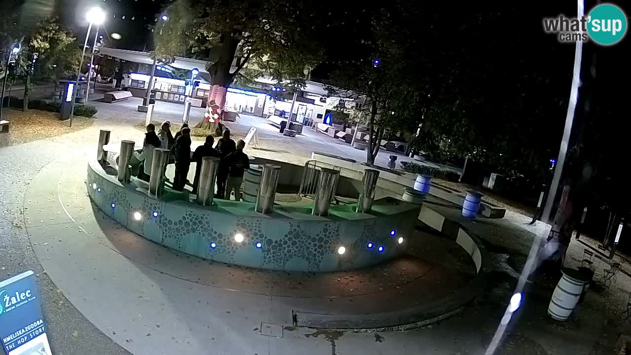 Camera en vivo Fuente de cerveza – Oro verde – Žalec