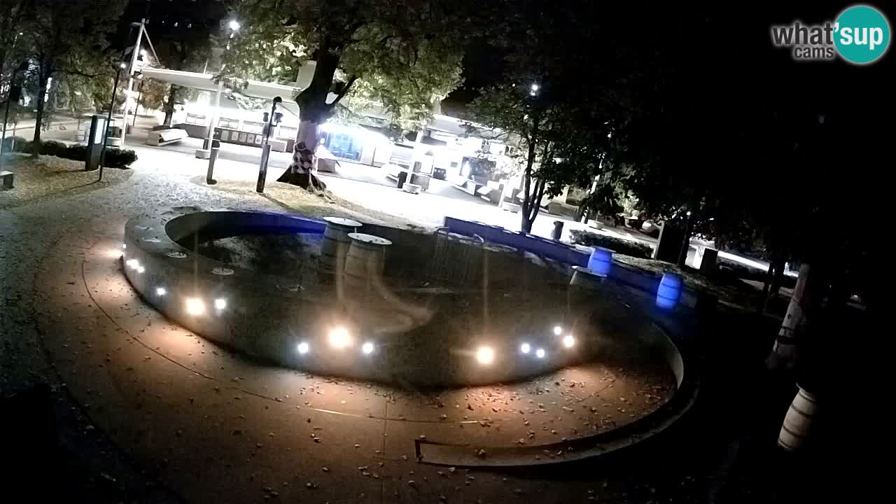 Fontana di birra Webcam – Oro verde – Žalec