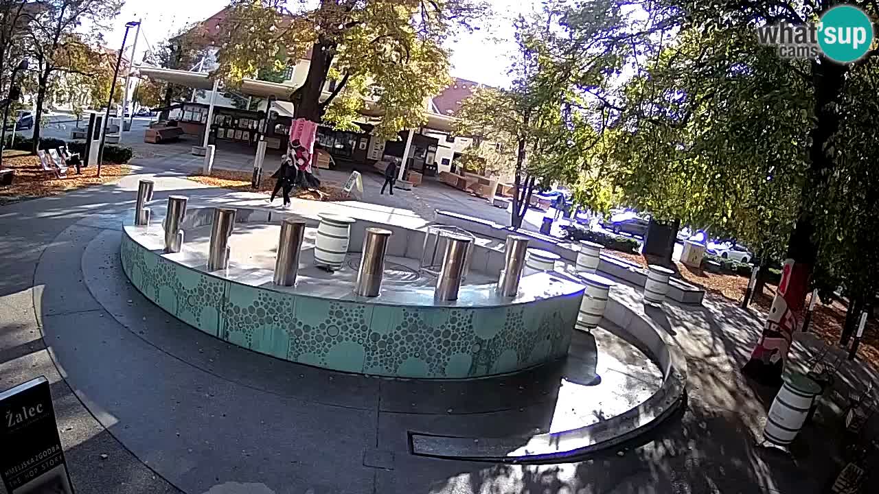 Bier-Springbrunnen Webcam Žalec – Grünen Goldes
