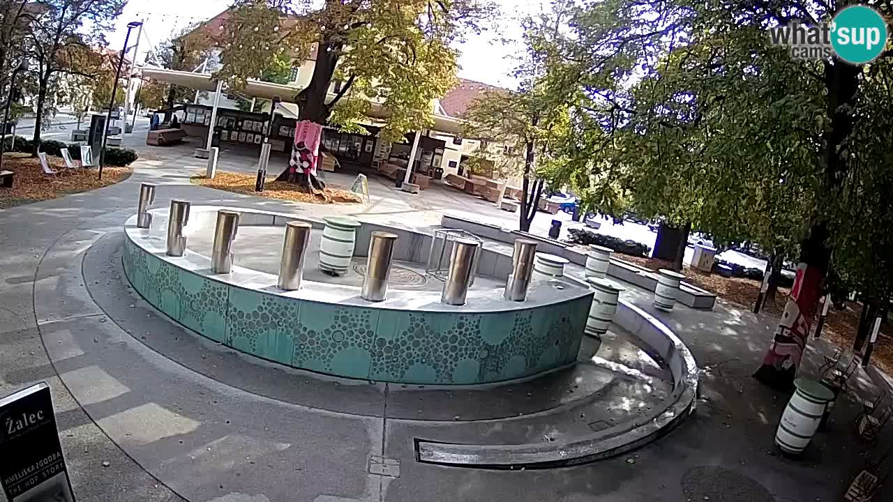 Spletna kamera Fontana Piv – Zeleno zlato Žalec