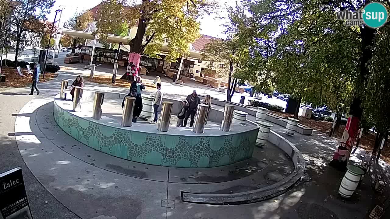Fontana di birra Webcam – Oro verde – Žalec