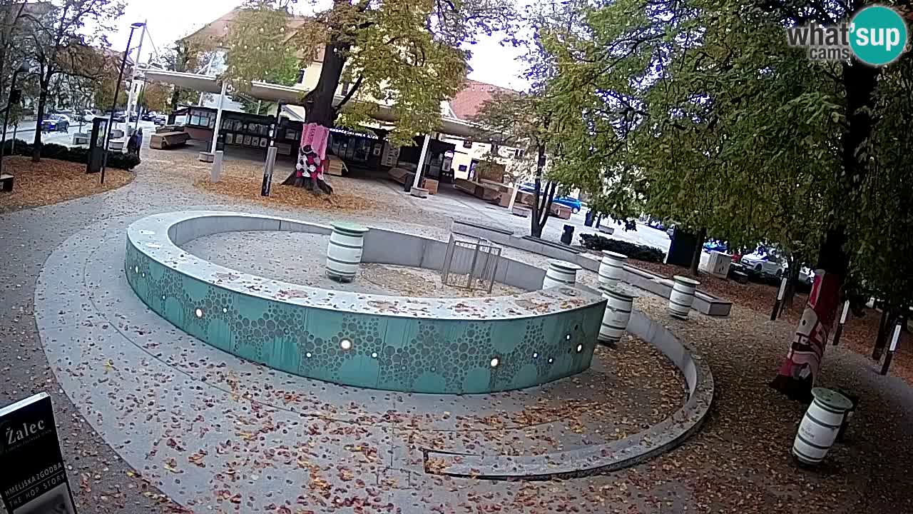 Fontaine à bière LIVE webcam – Or vert – Žalec