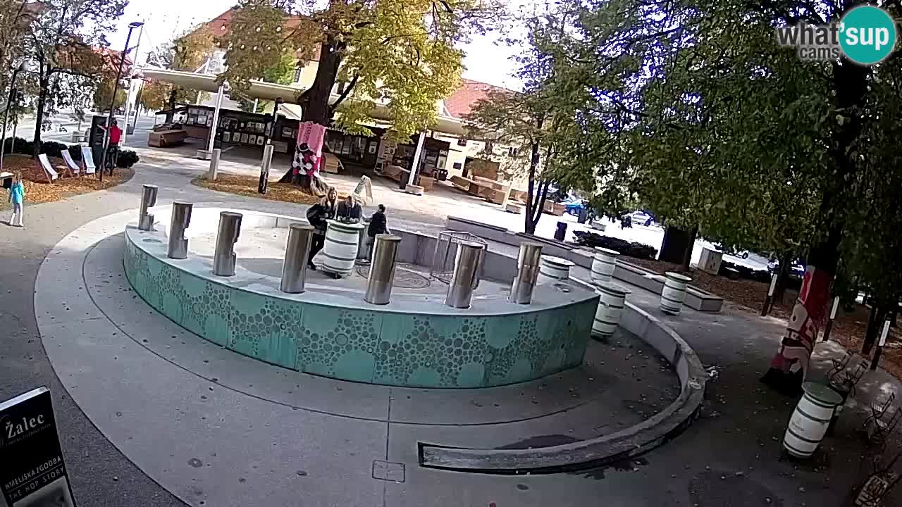 Spletna kamera Fontana Piv – Zeleno zlato Žalec