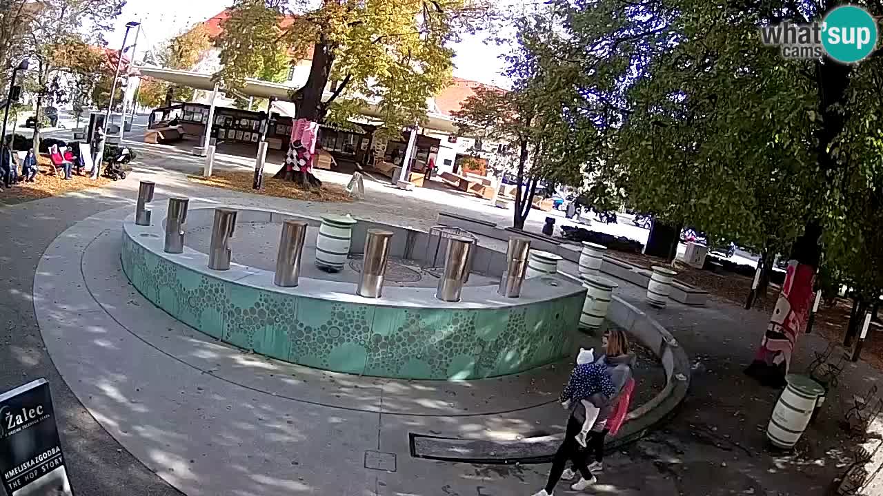 Fontana di birra Webcam – Oro verde – Žalec