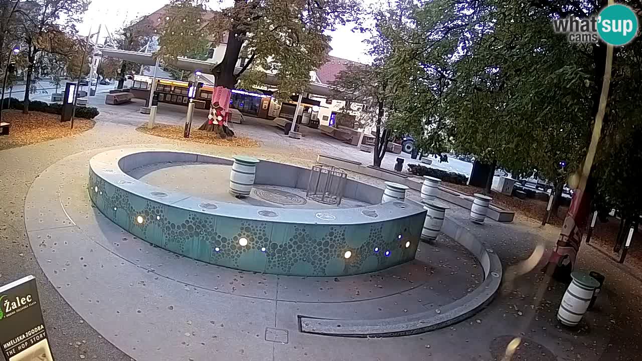 Fontana di birra Webcam – Oro verde – Žalec