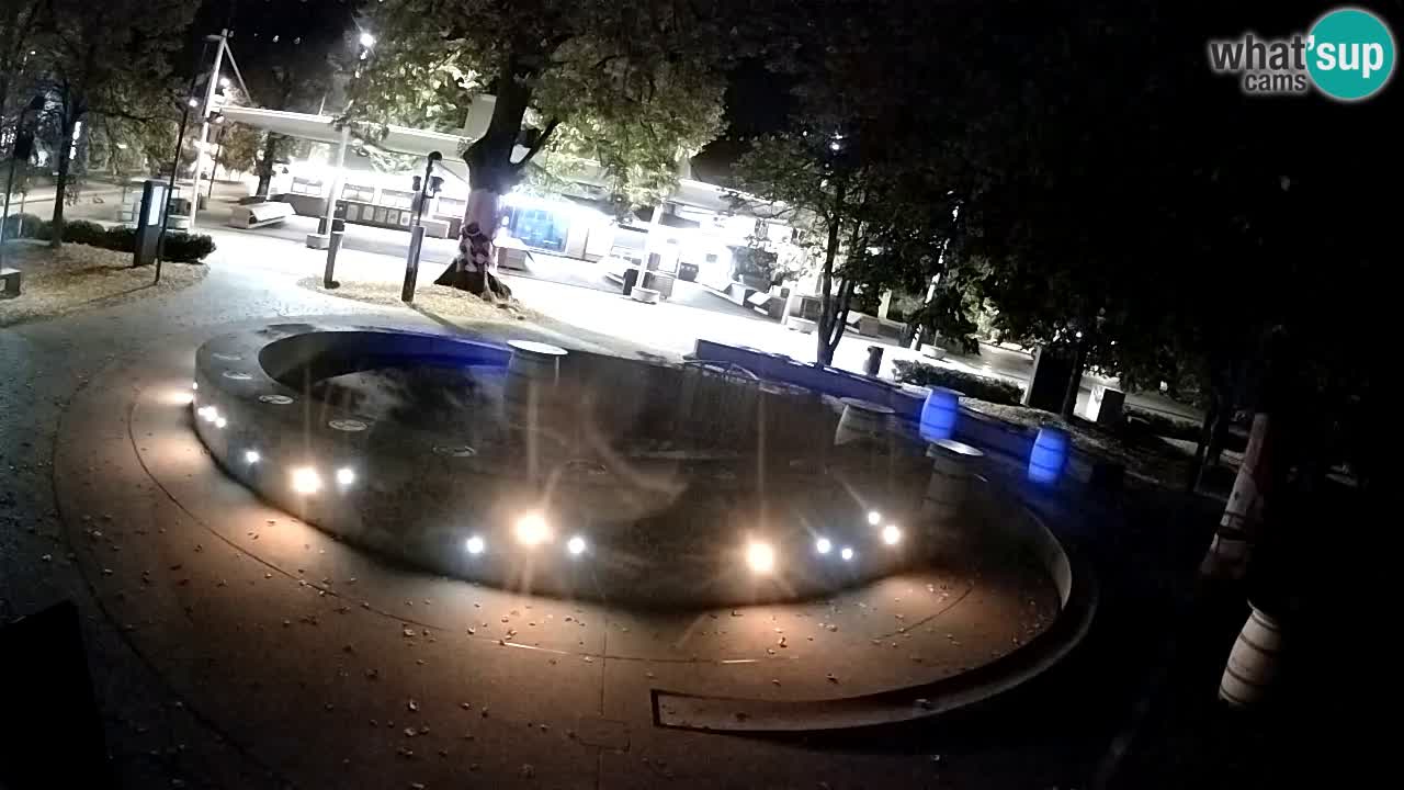 Fontaine à bière LIVE webcam – Or vert – Žalec