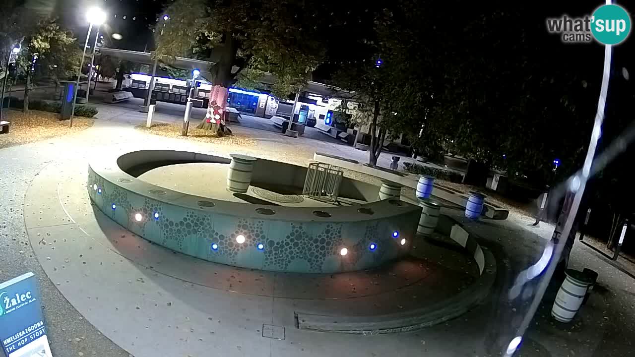 Fontaine à bière LIVE webcam – Or vert – Žalec