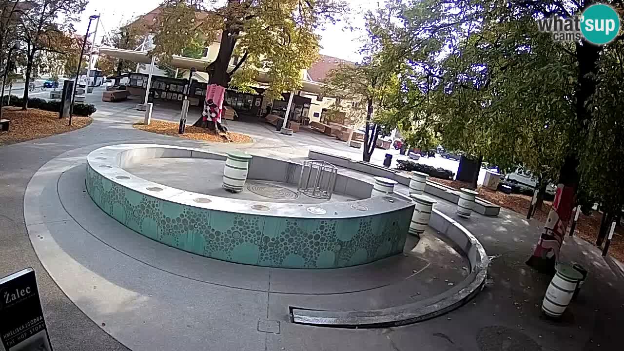 Fontana di birra Webcam – Oro verde – Žalec