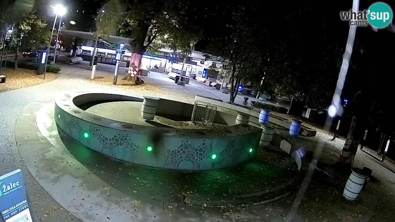 Camera en vivo Fuente de cerveza – Oro verde – Žalec