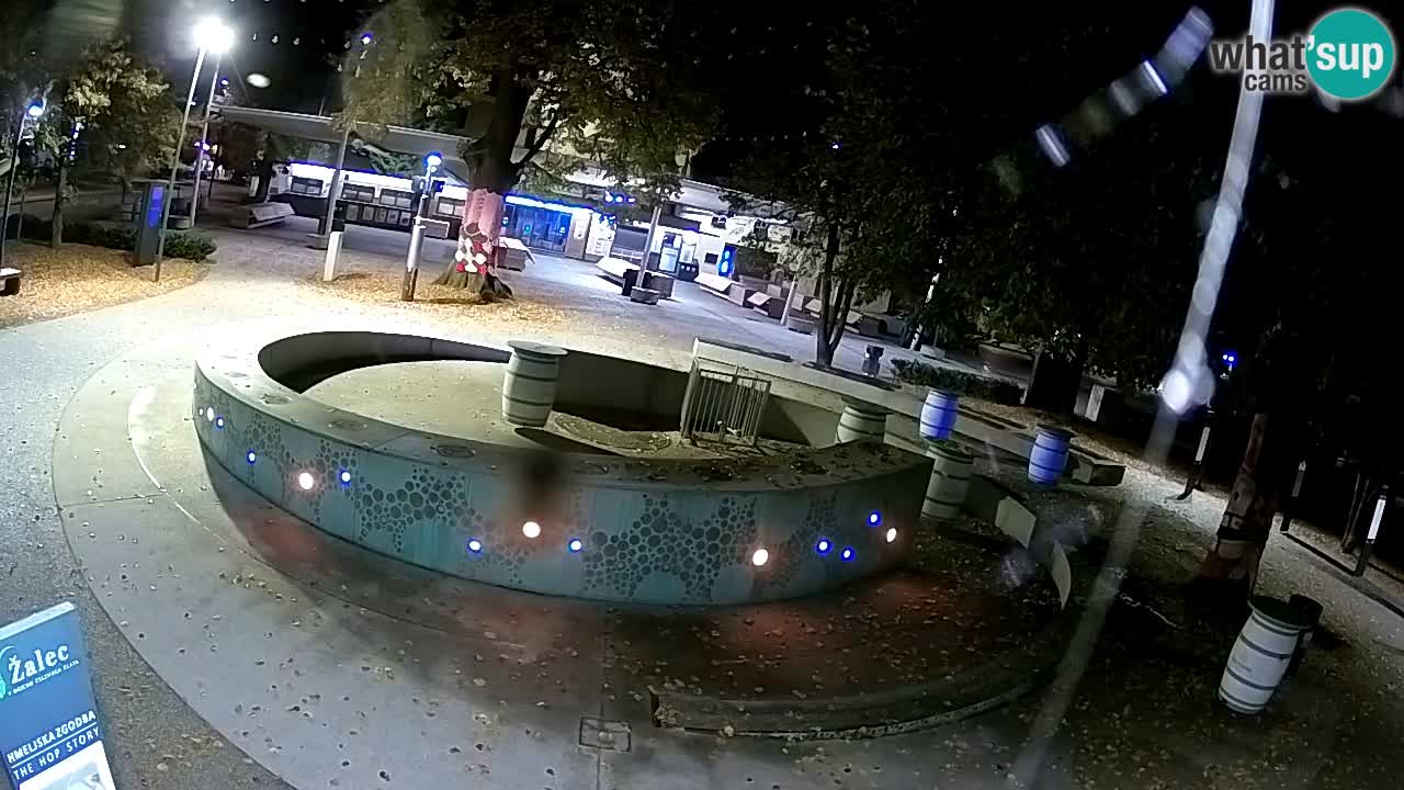 Fontaine à bière LIVE webcam – Or vert – Žalec