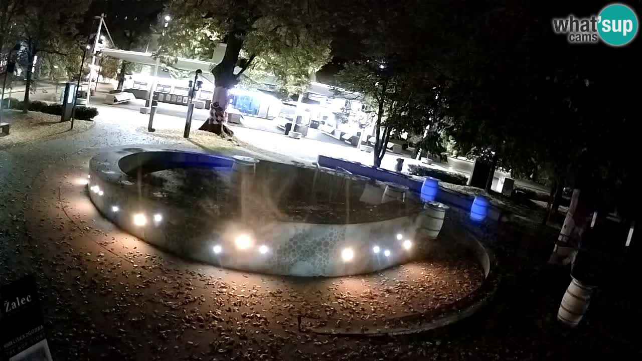 Fontaine à bière LIVE webcam – Or vert – Žalec