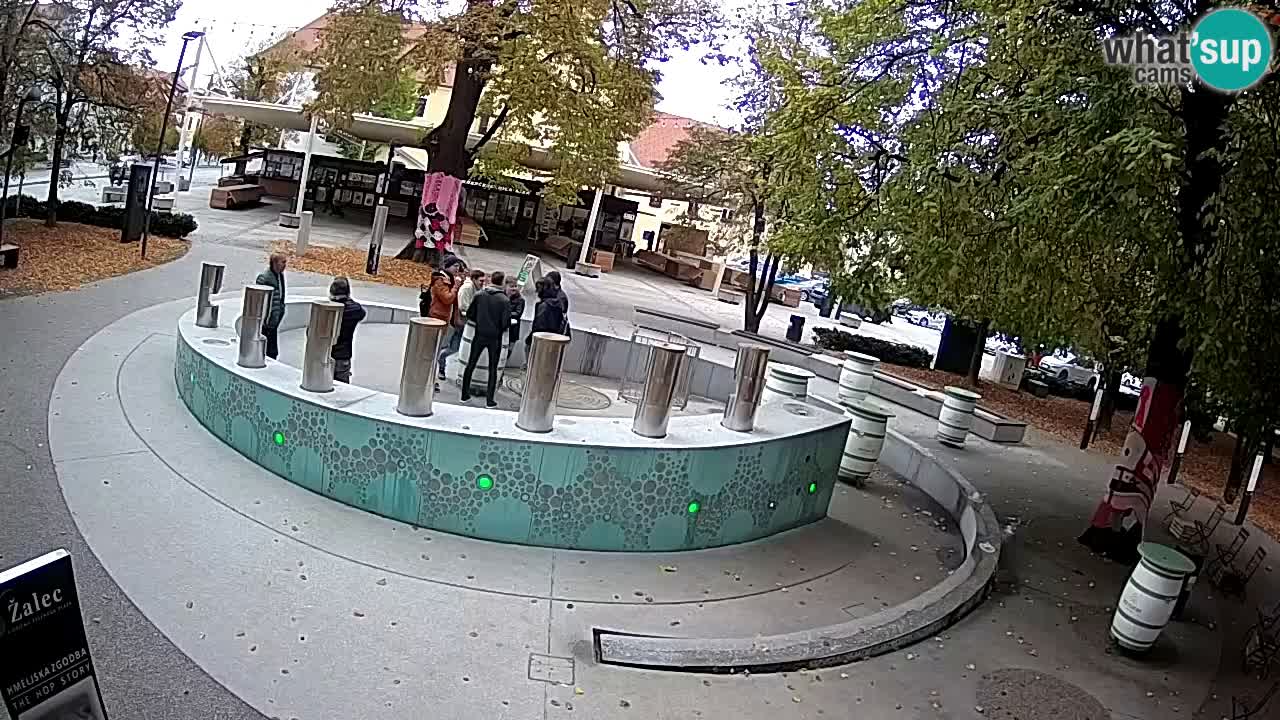 Fontaine à bière LIVE webcam – Or vert – Žalec