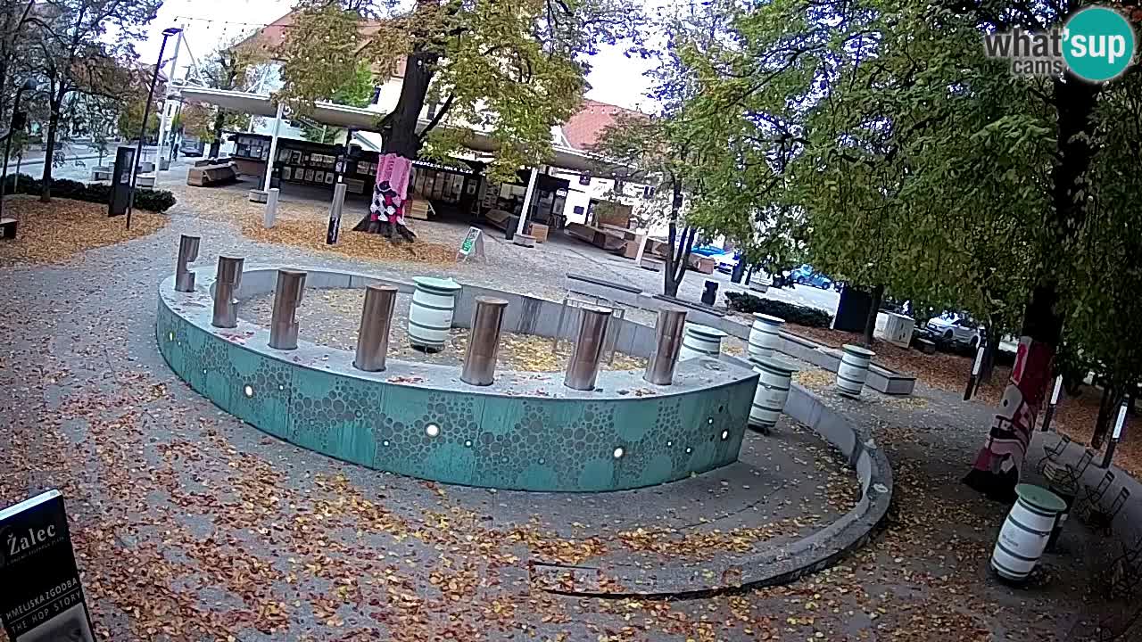 Fontana di birra Webcam – Oro verde – Žalec