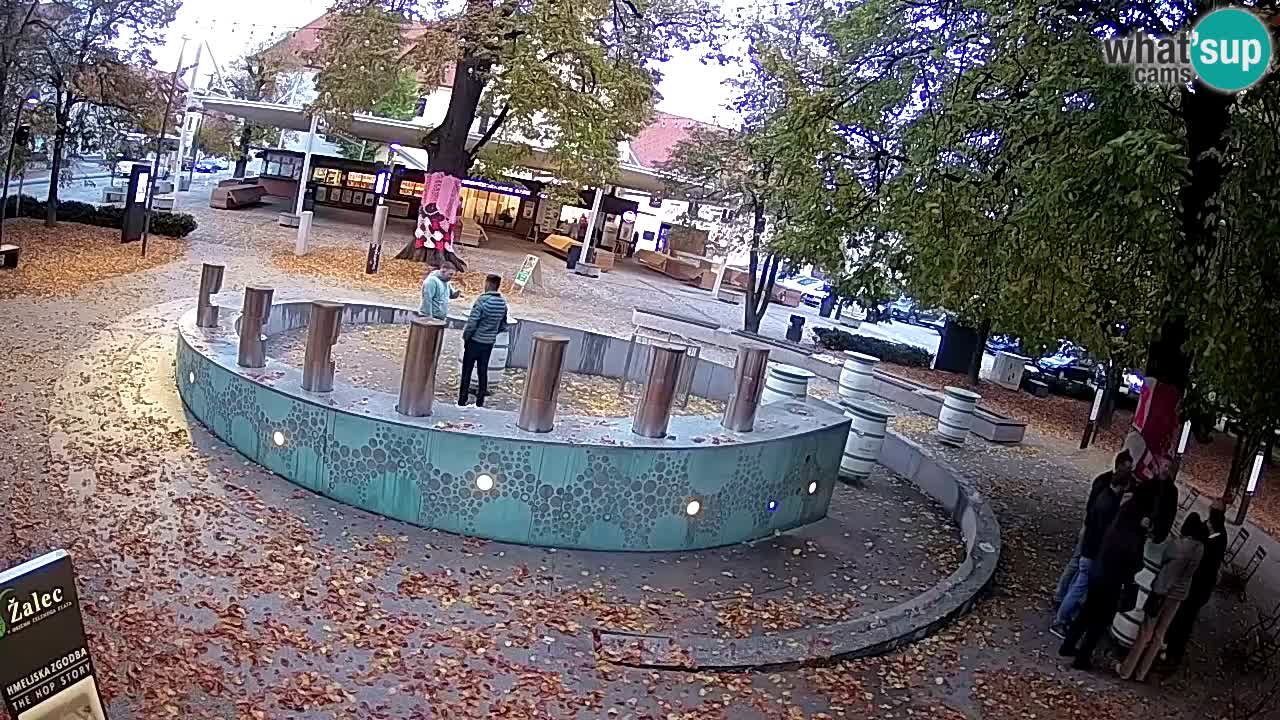 Fontaine à bière LIVE webcam – Or vert – Žalec