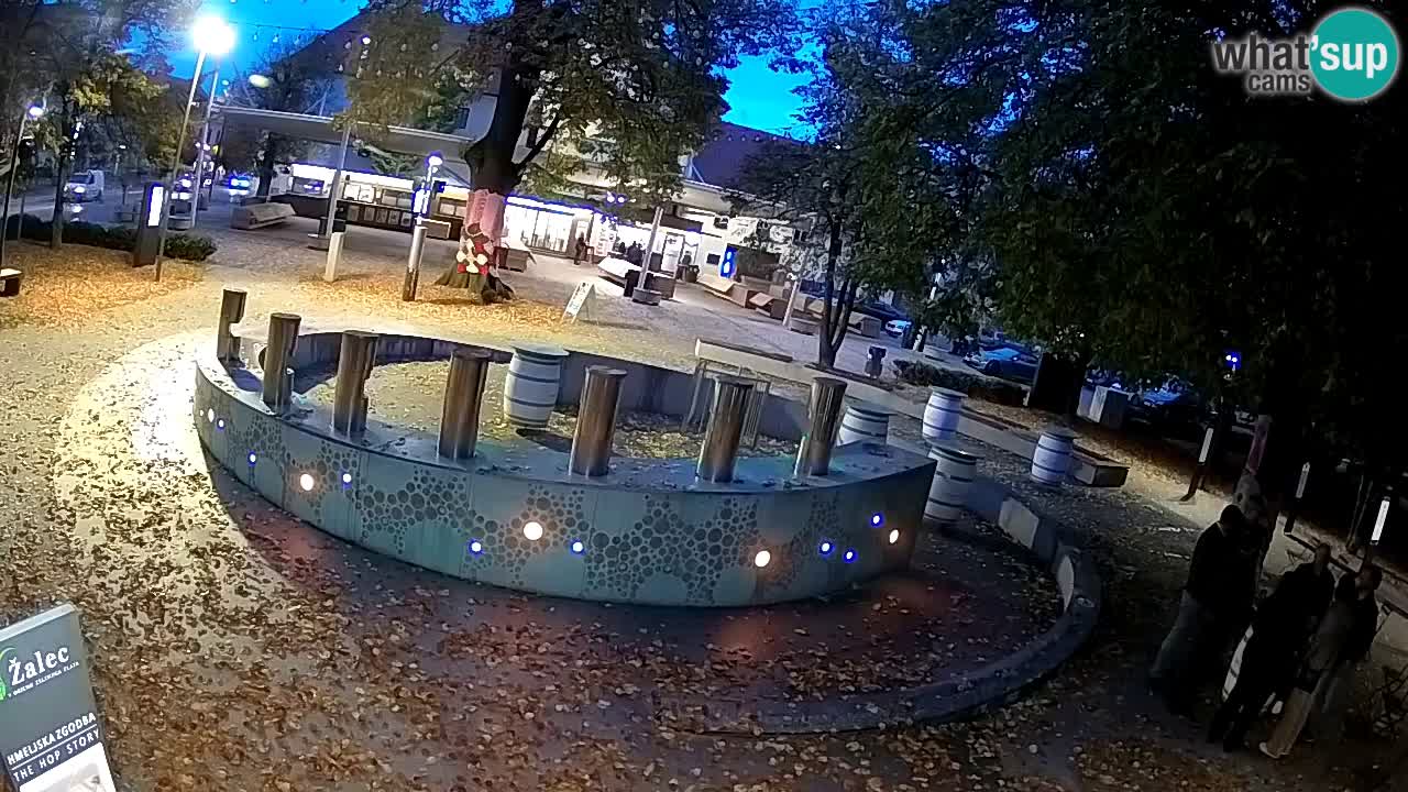 Fontaine à bière LIVE webcam – Or vert – Žalec
