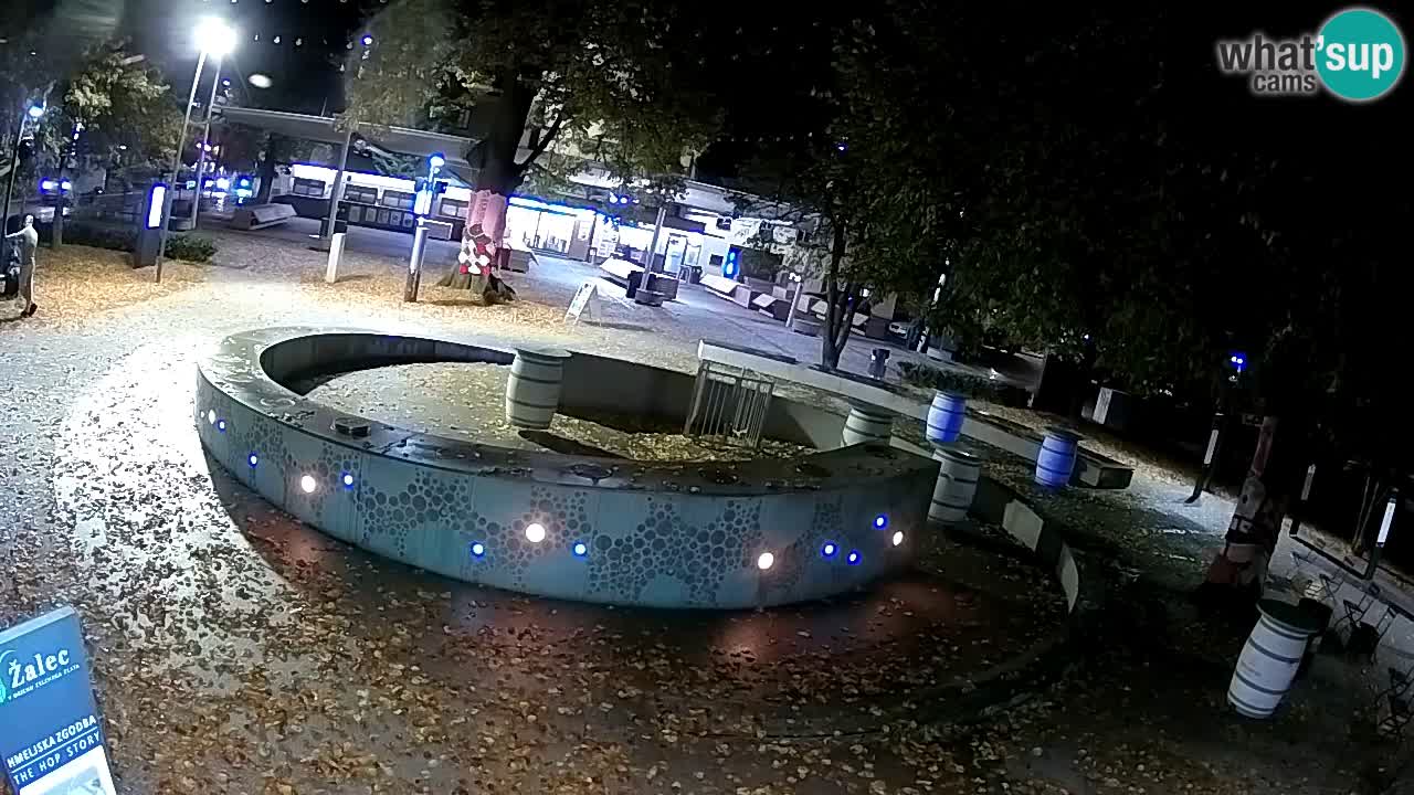 Camera en vivo Fuente de cerveza – Oro verde – Žalec
