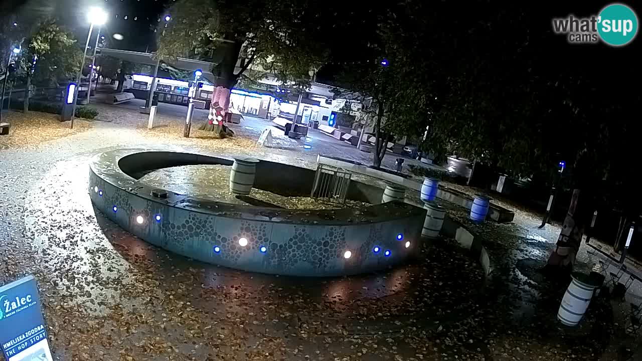 Spletna kamera Fontana Piv – Zeleno zlato Žalec
