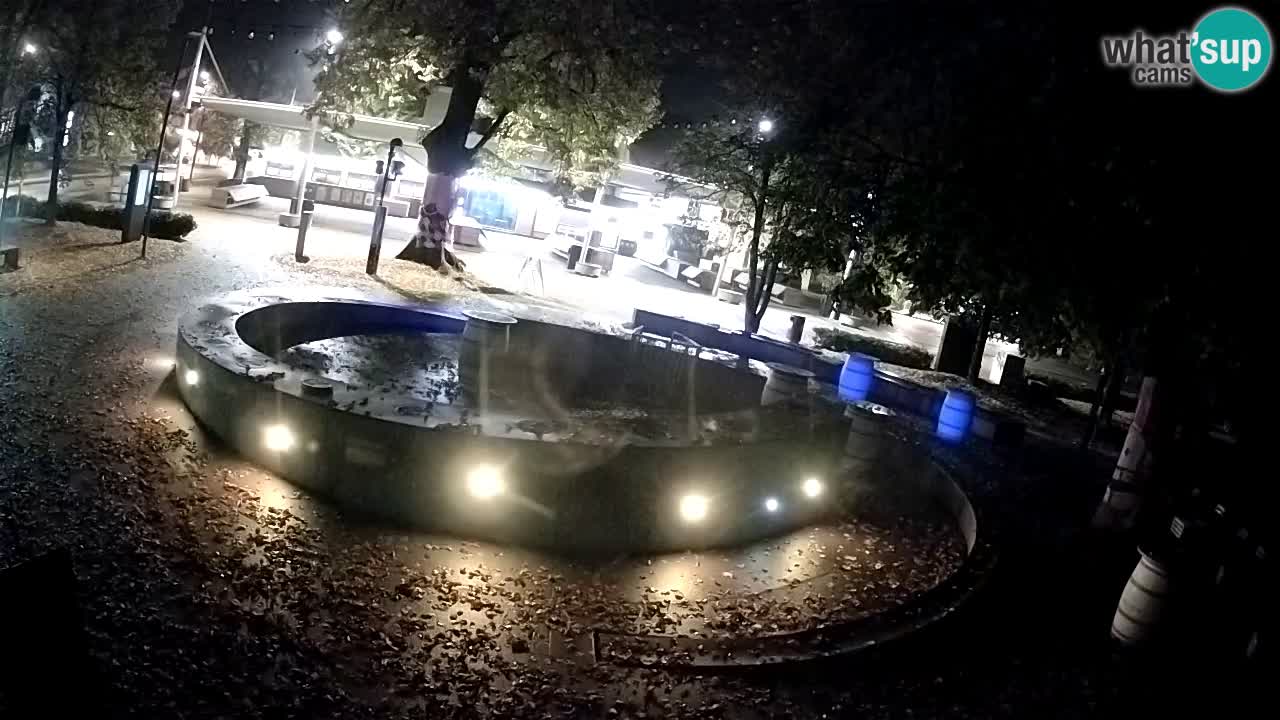 Fontana di birra Webcam – Oro verde – Žalec