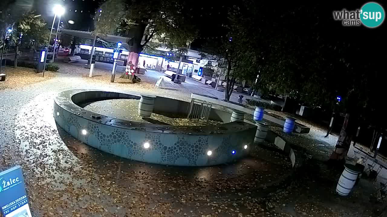 Spletna kamera Fontana Piv – Zeleno zlato Žalec