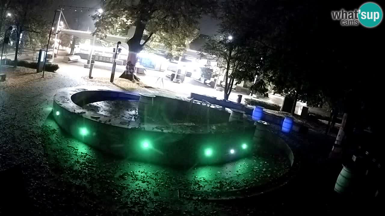 Camera en vivo Fuente de cerveza – Oro verde – Žalec