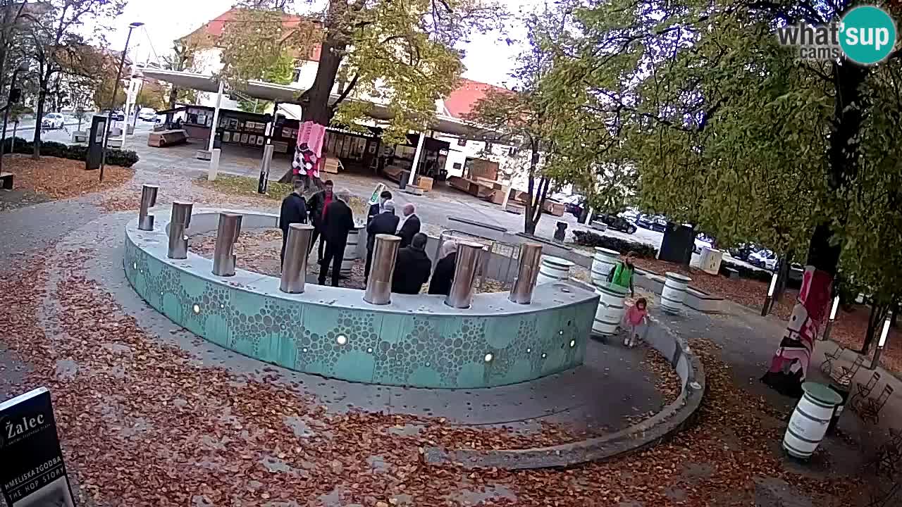 Fontana di birra Webcam – Oro verde – Žalec