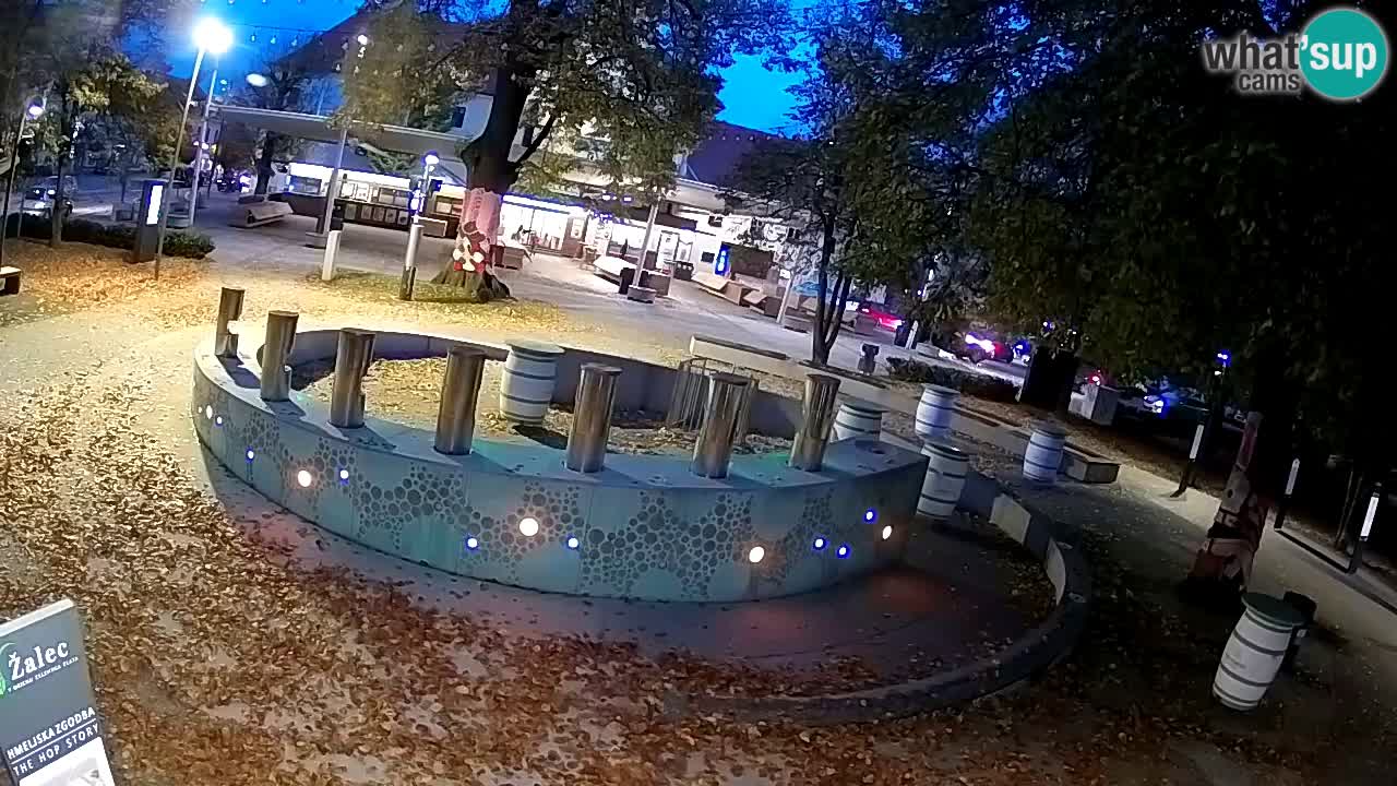 Fontana di birra Webcam – Oro verde – Žalec