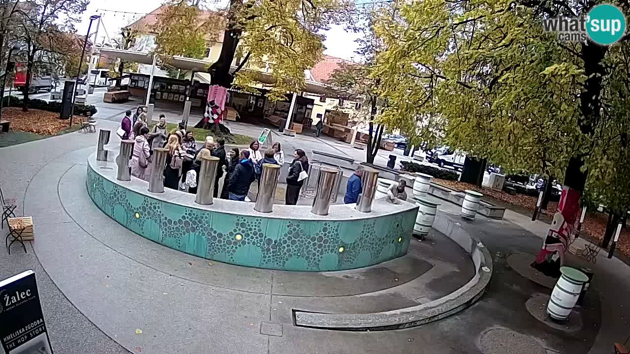 Camera en vivo Fuente de cerveza – Oro verde – Žalec