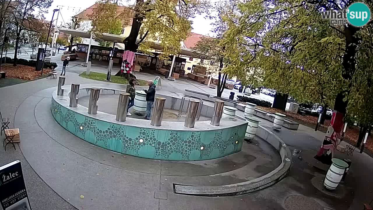Fontana di birra Webcam – Oro verde – Žalec