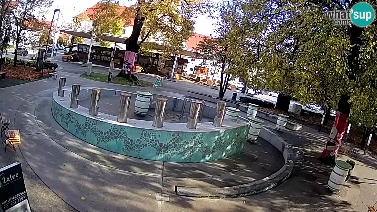 Fontana di birra Webcam – Oro verde – Žalec