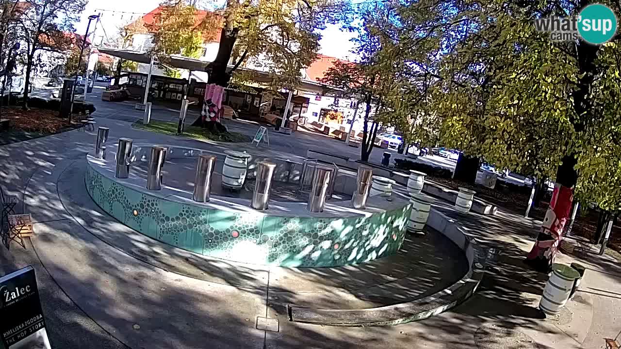 Bier-Springbrunnen Webcam Žalec – Grünen Goldes