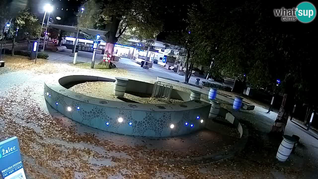 Fontana di birra Webcam – Oro verde – Žalec