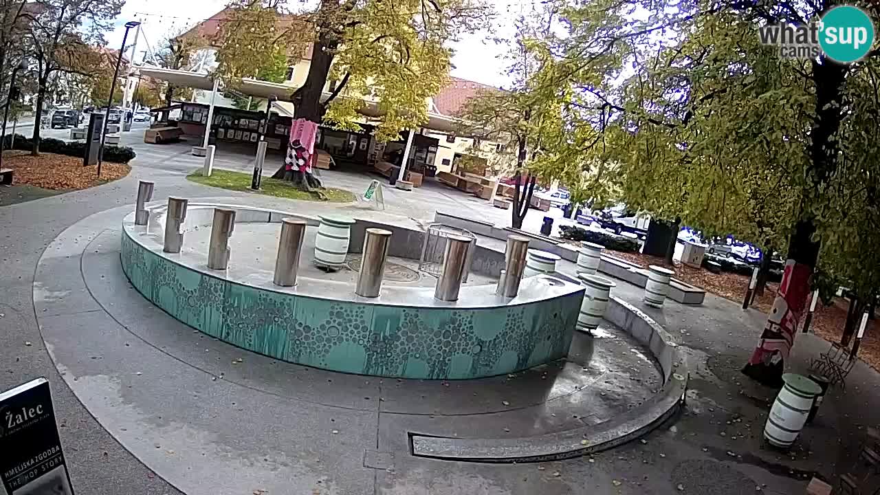 Camera en vivo Fuente de cerveza – Oro verde – Žalec